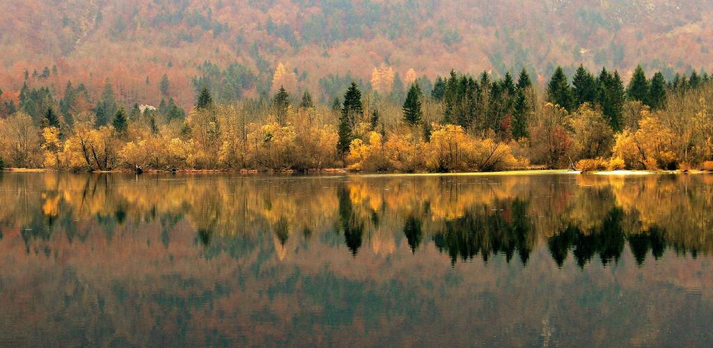 Apartmaji Pri Marodnu Bohinj Exterior foto